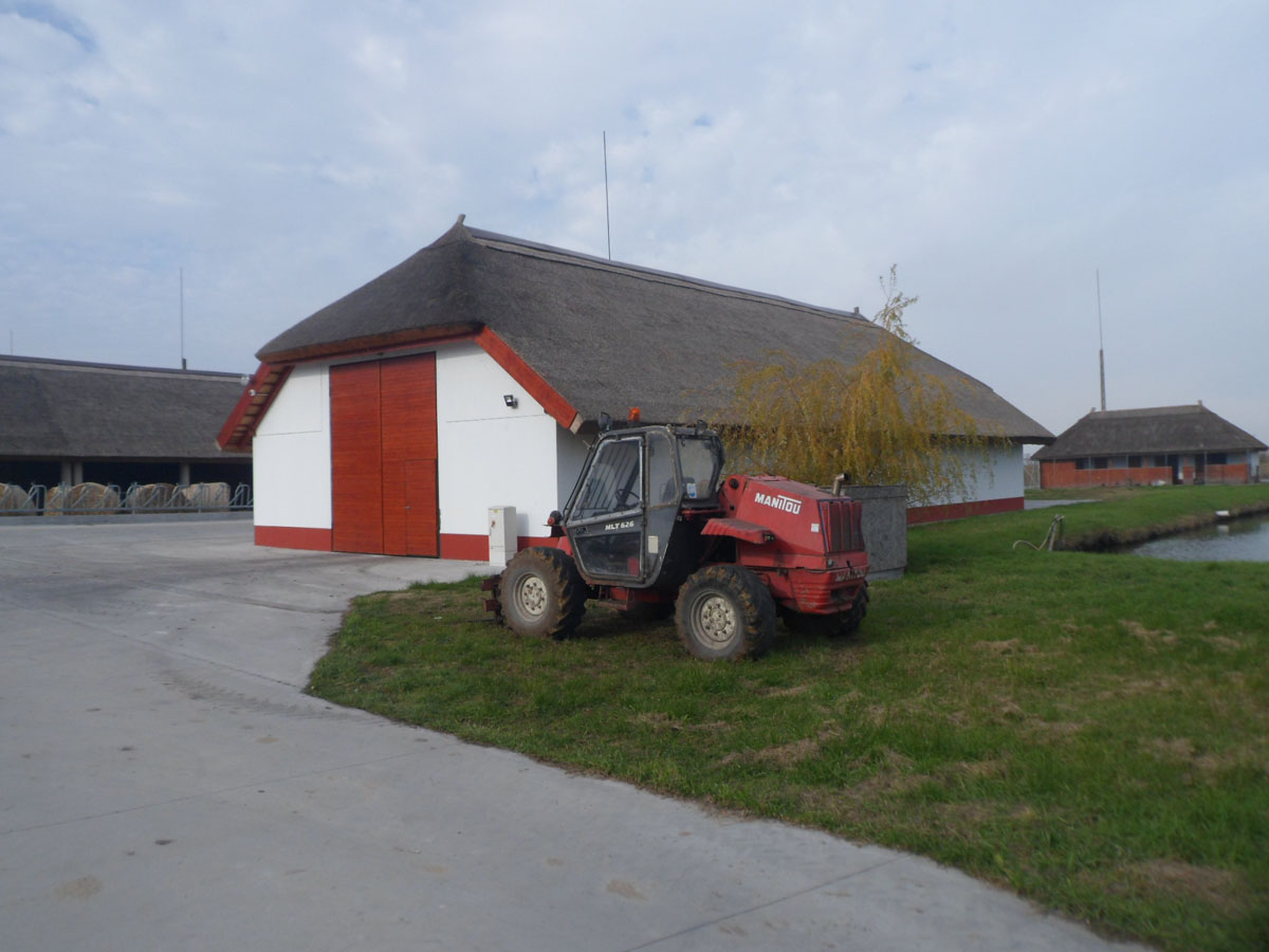 Image 01