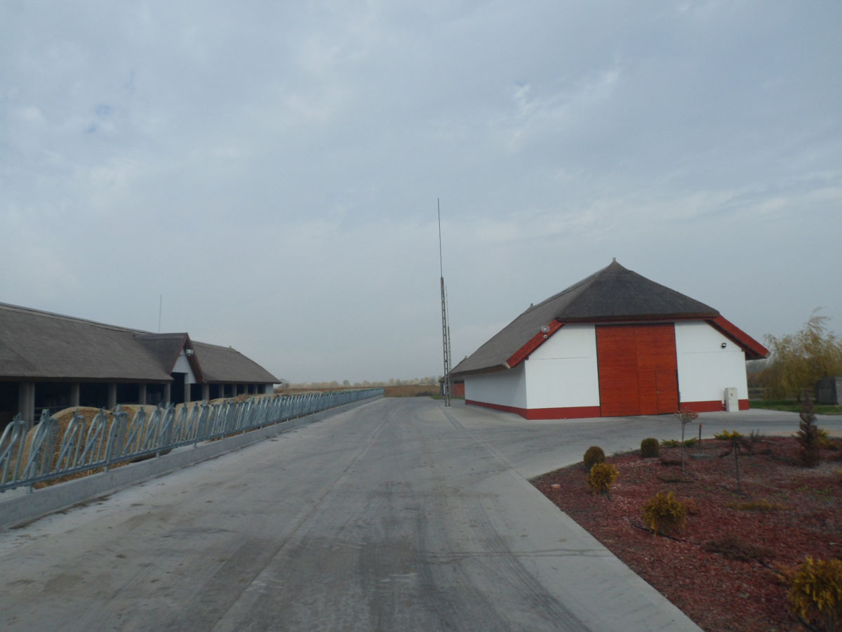 Image 01