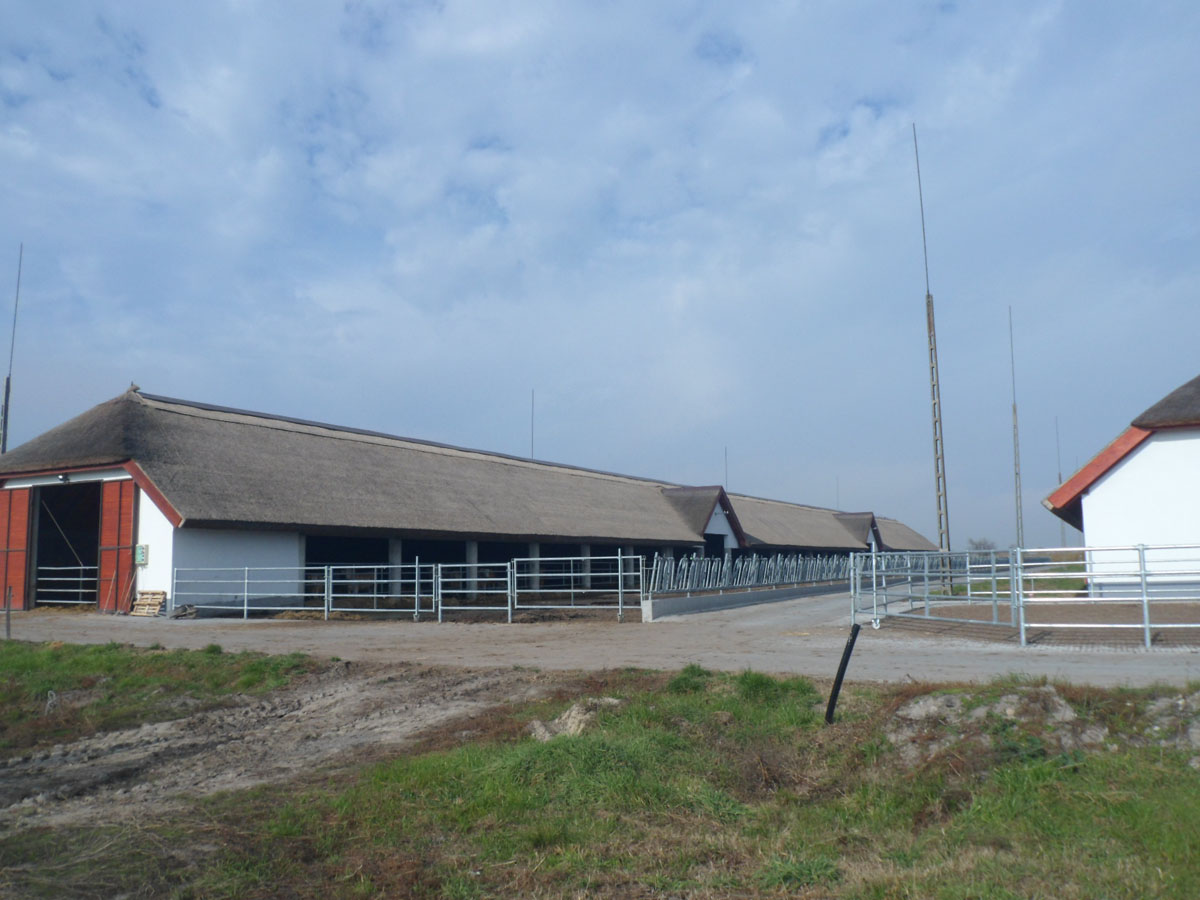 Image 01