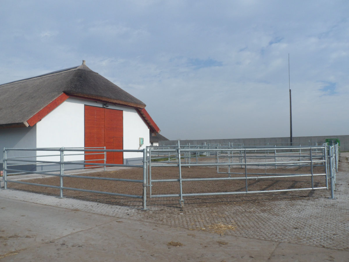 Image 01