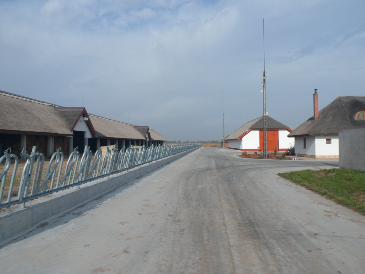 Image 01