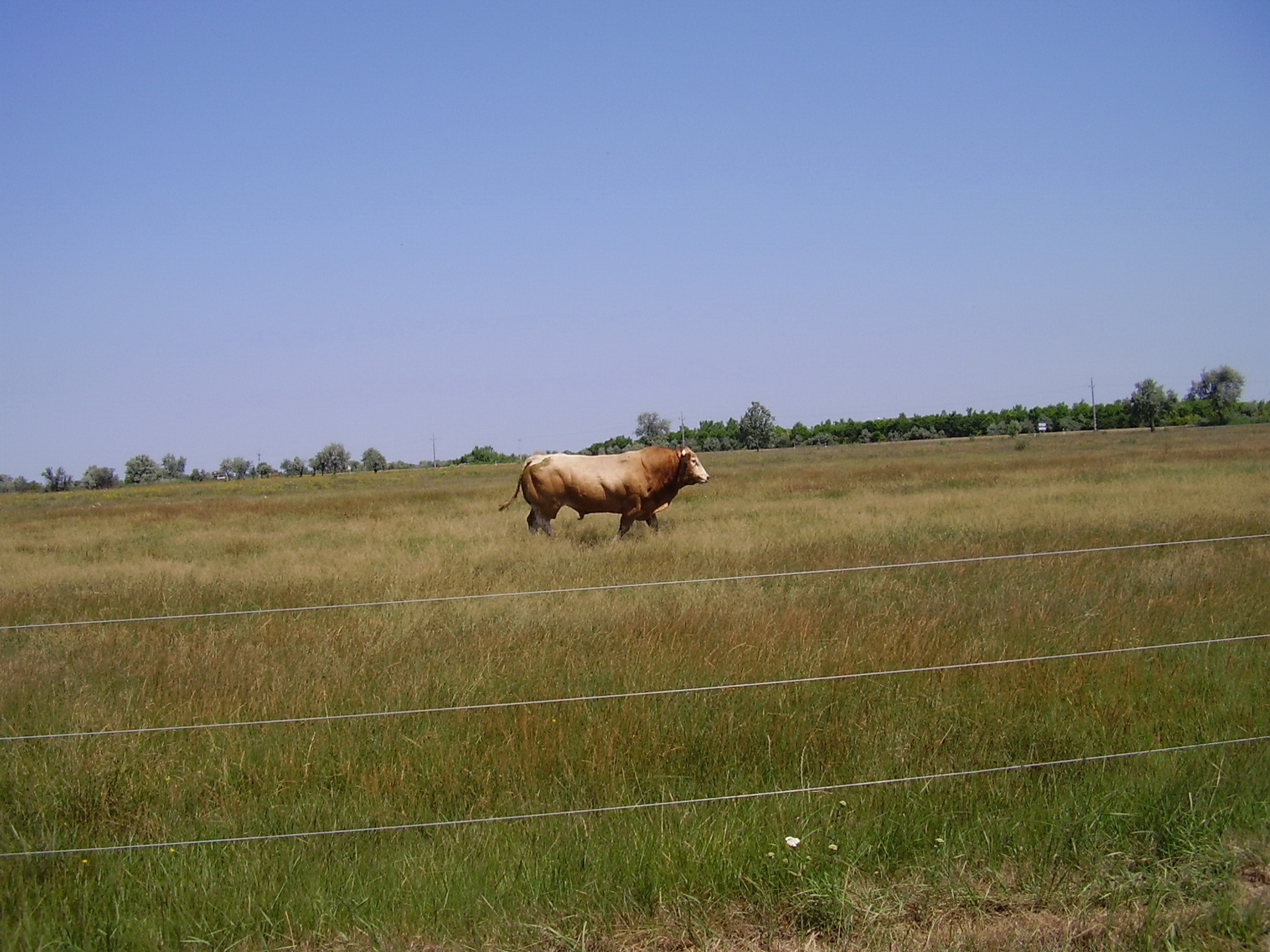 Image 01