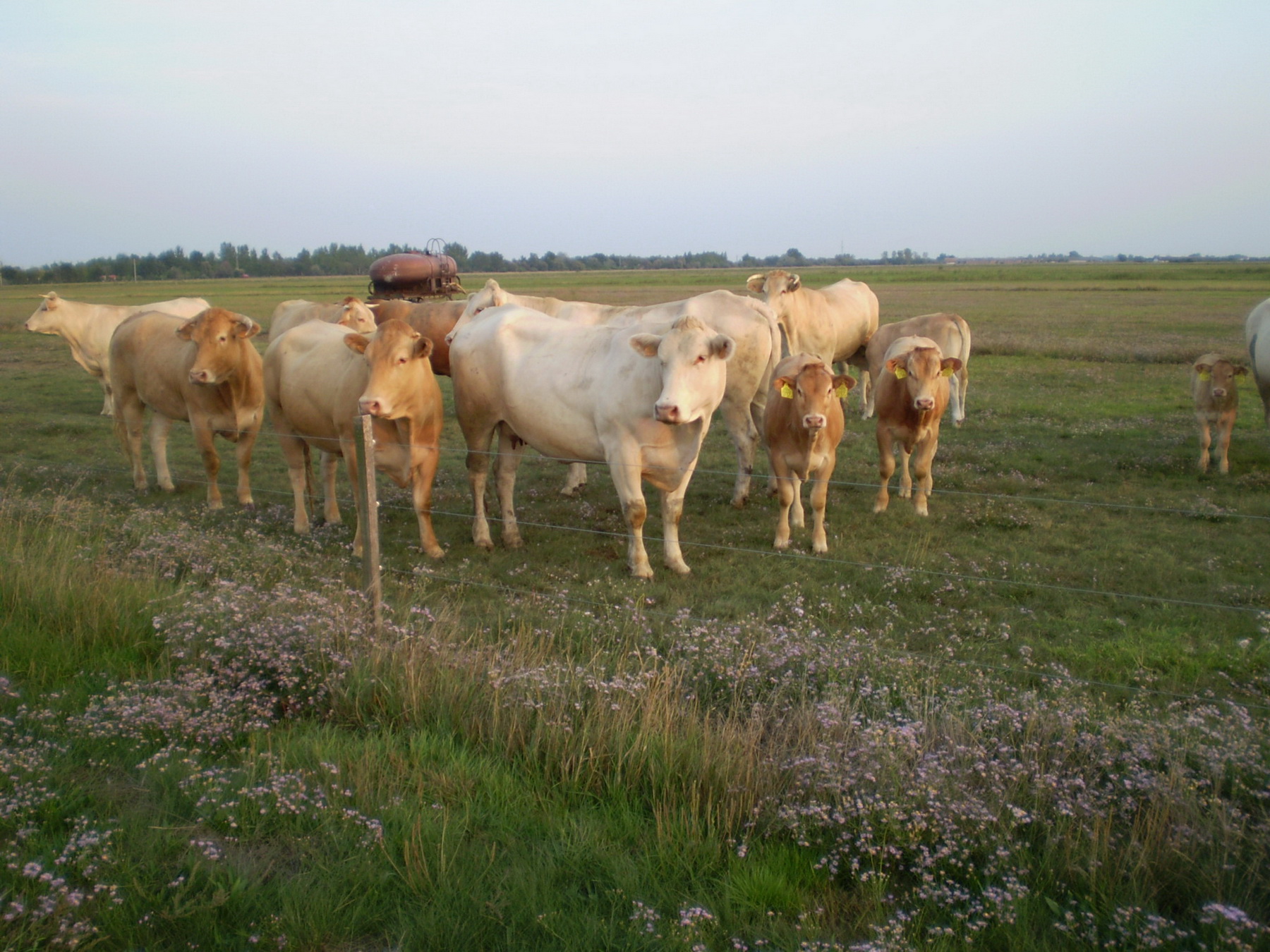 Image 01