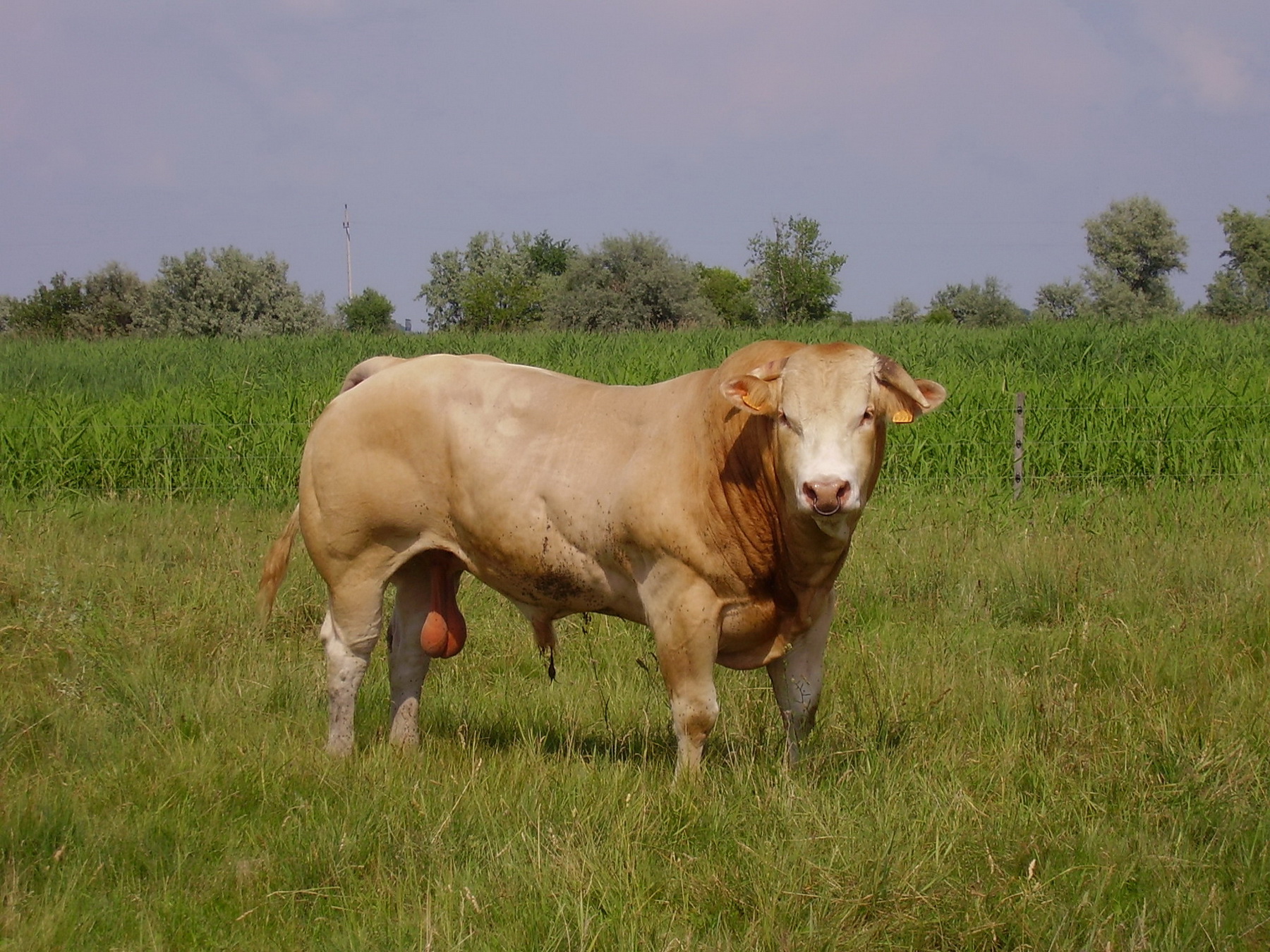 Image 01