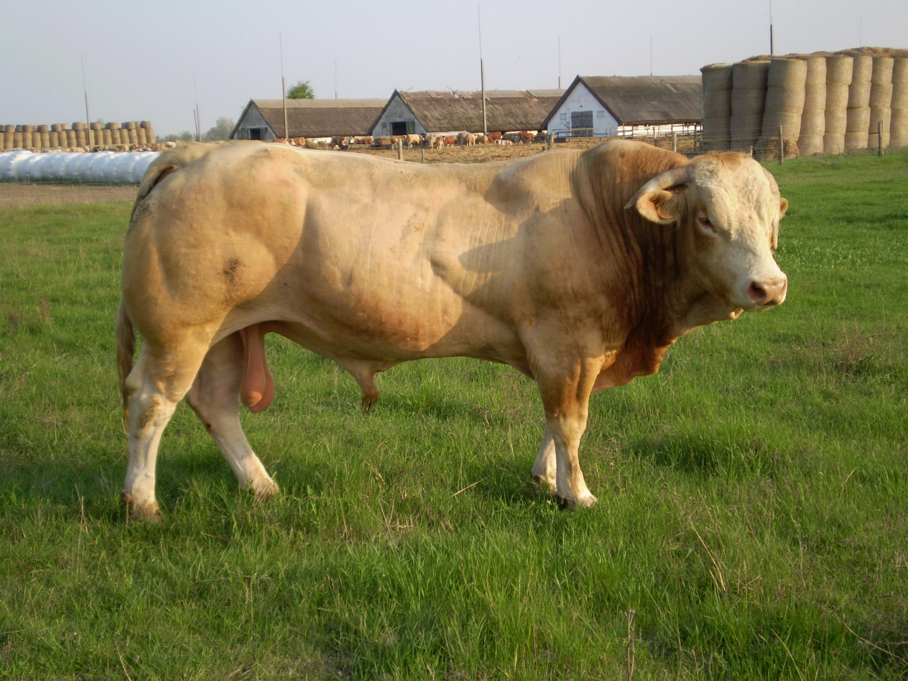 Image 01