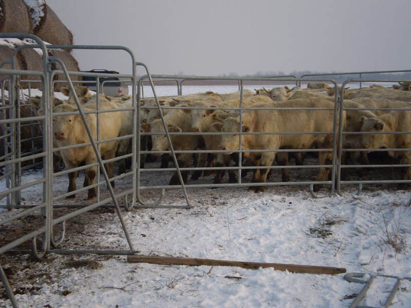 Image 01