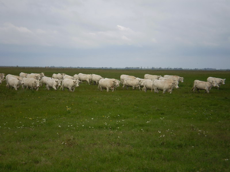 Image 01