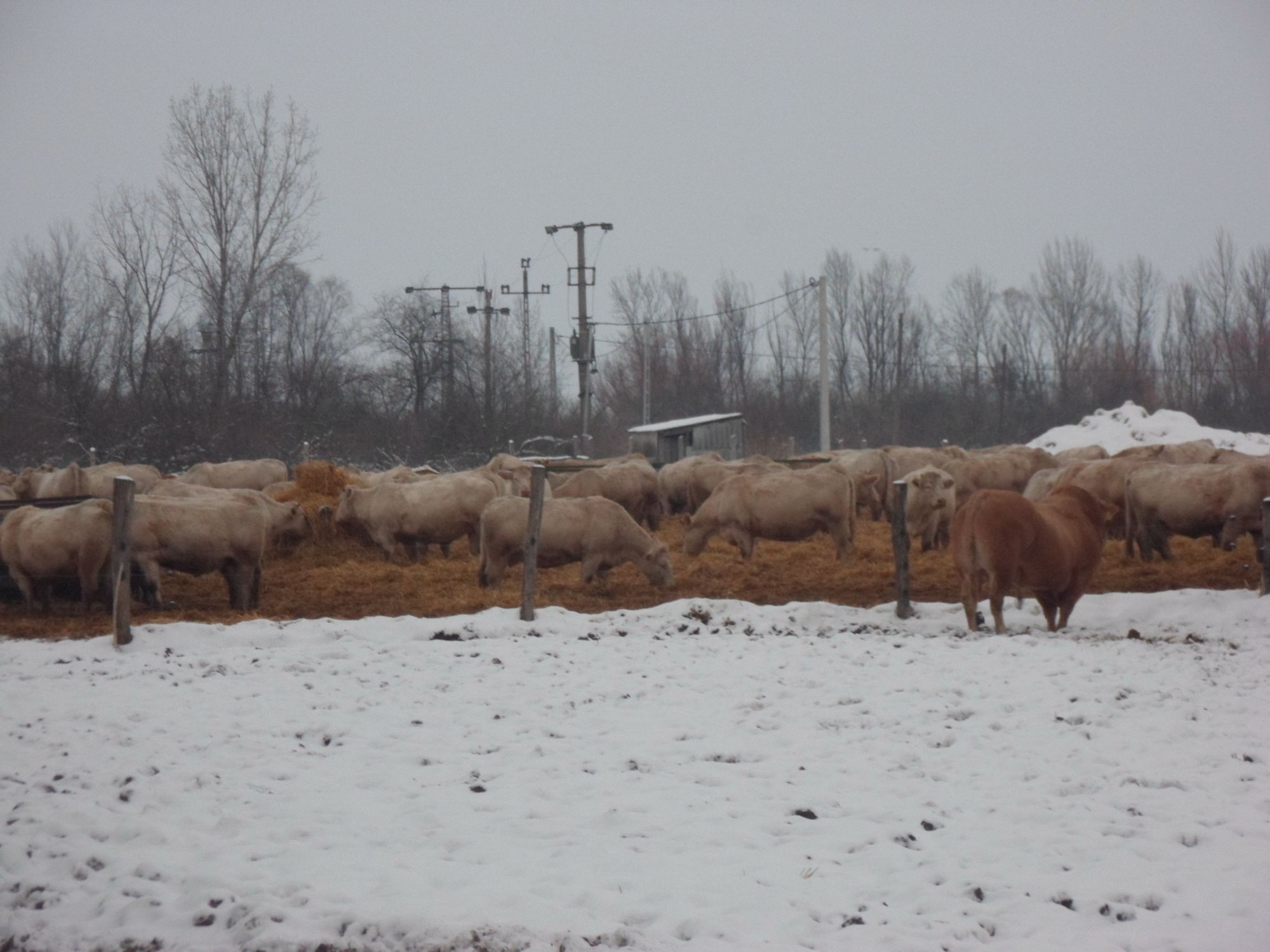 Image 01