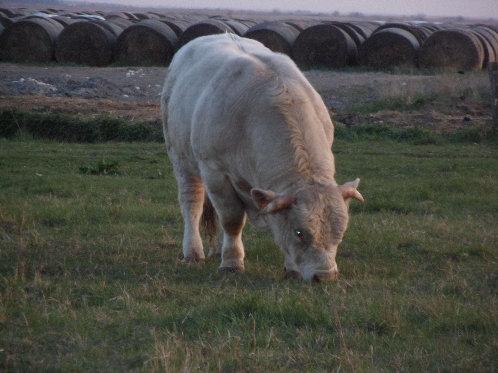 Image 01
