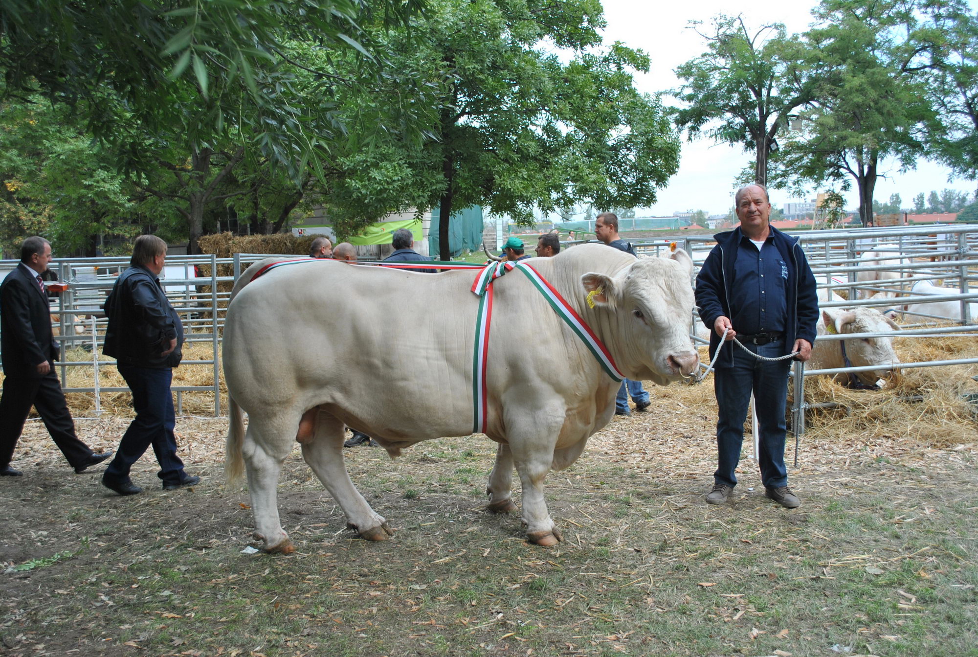 Image 01