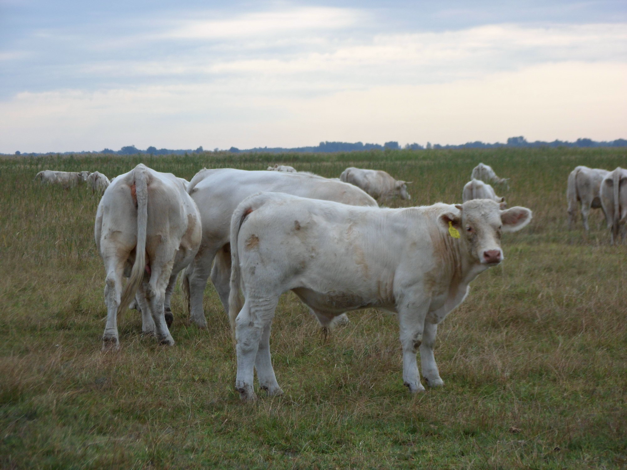 Image 01