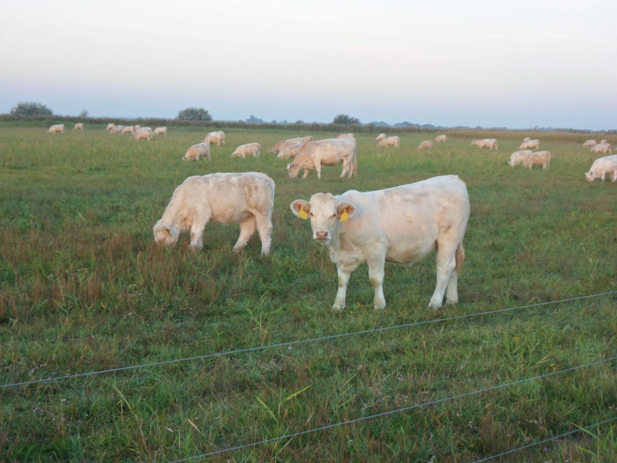Image 01